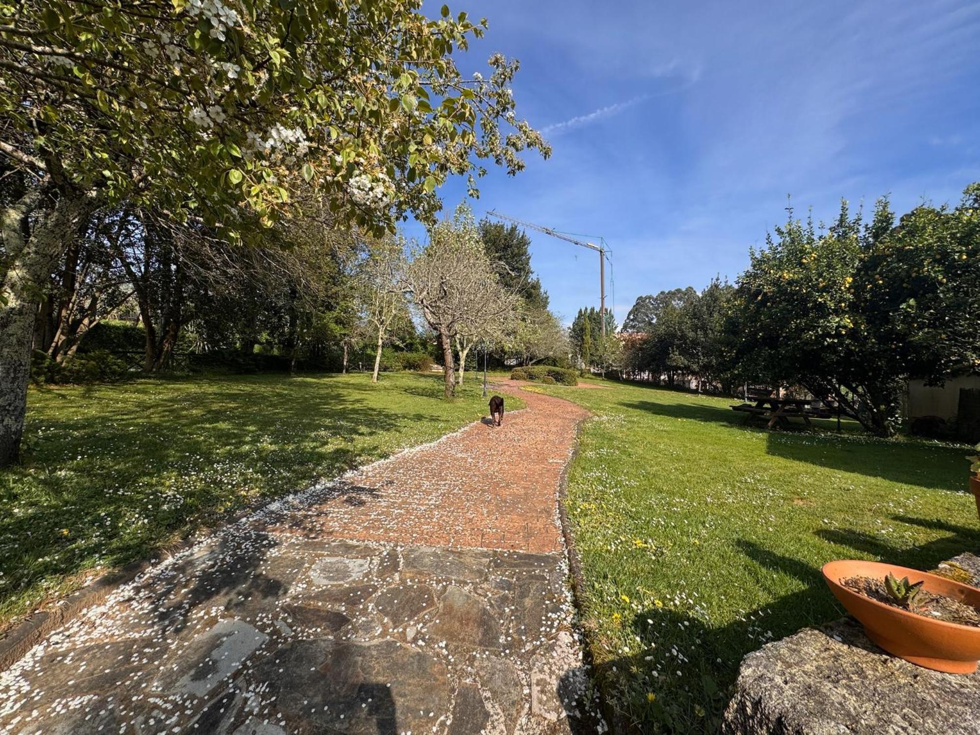 Casa Rural A Cobacha Paderne Dış mekan fotoğraf